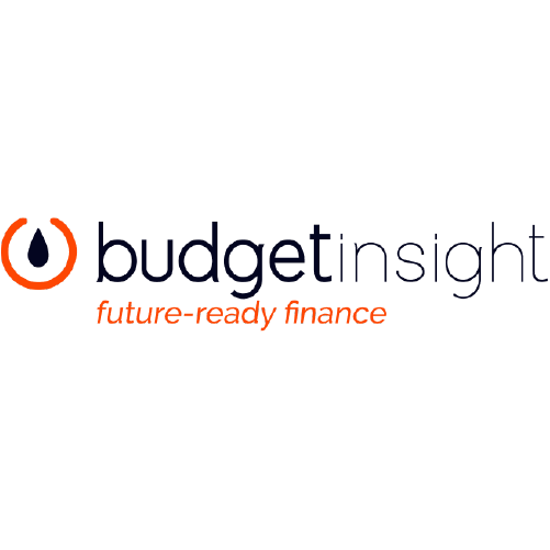 logo BUDGET insight